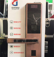 齐齐哈尔指纹锁